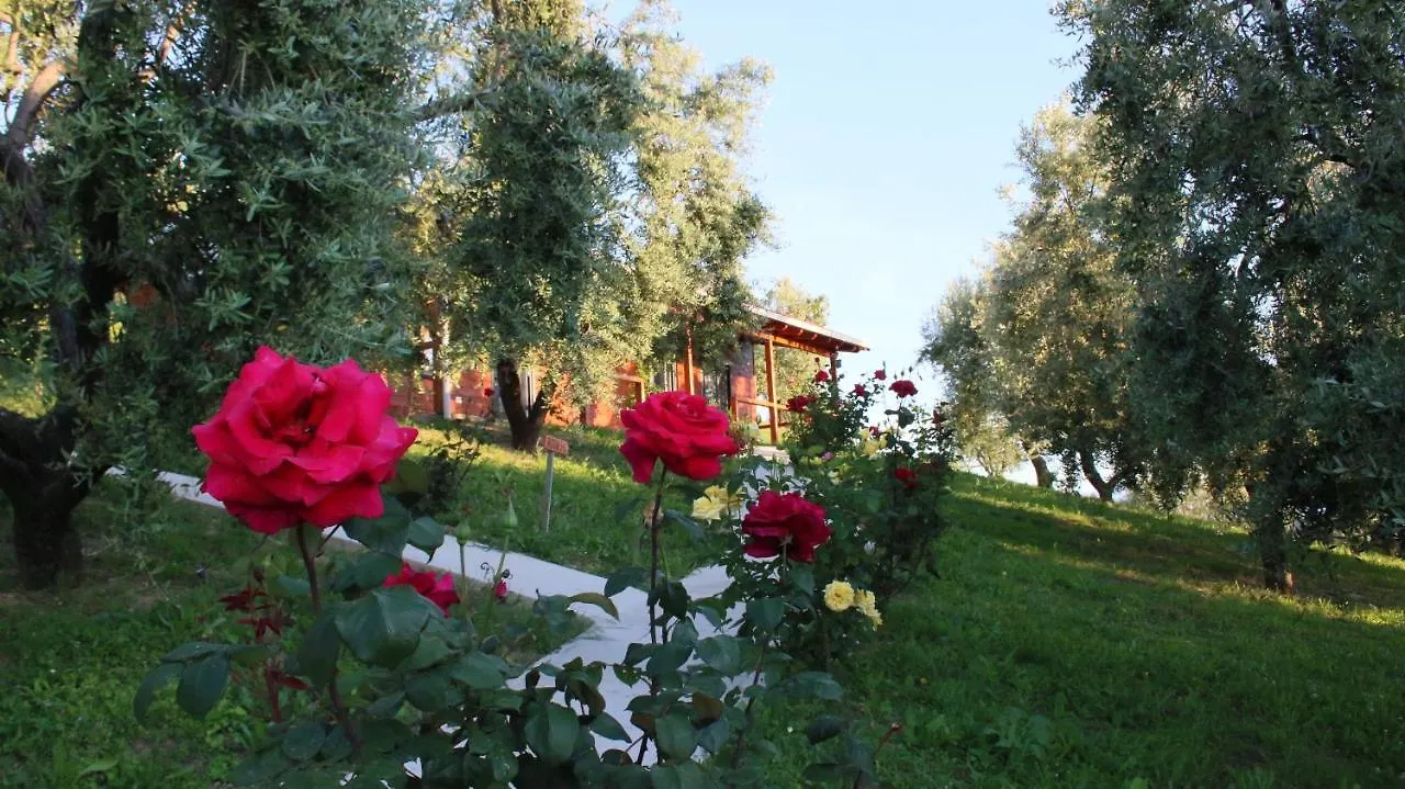 Camping Hotel Agroturizem Bylis Hekal Albania