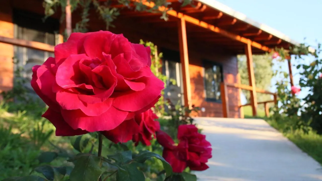 Camping Hotel Agroturizem Bylis Hekal