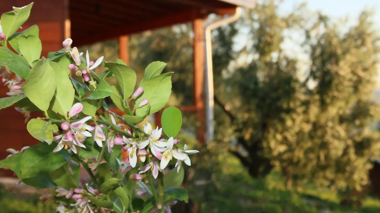 Hotel Agroturizem Bylis Hekal Camping
