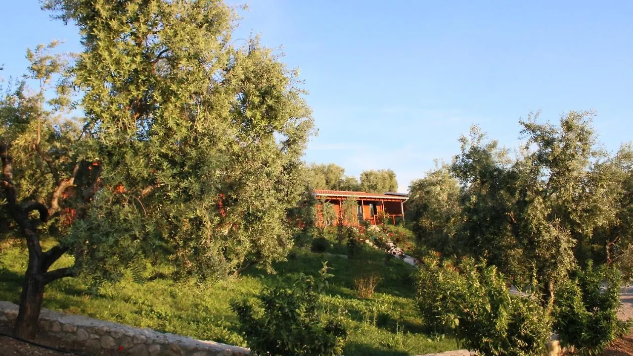 Hotel Agroturizem Bylis Hekal 0*,