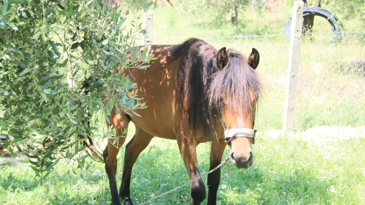 Hotel Agroturizem Bylis Hekal