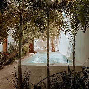 m-a-d-r-e.quintano-roohotels.com/